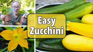 Growing Zucchini Courgettes from Sowing to Harvest [upl. by Hertzog229]