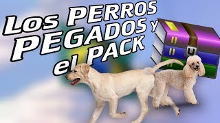 quotPERROS PEGADOS Y EL PACKquot Bromas Telefonicas [upl. by Cockburn]