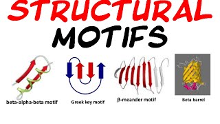 Structural motifs of protein [upl. by Lorianna]