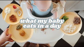 What My 8 Month Old Eats in a Day  Mostly Baby Led Weaning [upl. by Meit]