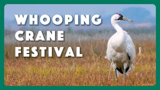 Port Aransas Whooping Crane Festival [upl. by Annoek]