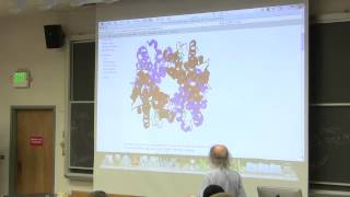 6 Biochemistry Lecture Hemoglobin from Kevin Aherns BB 350 [upl. by Tiras]