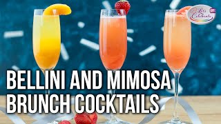 The Bellini and Mimosa  The Best Champagne Brunch Cocktails [upl. by Minnie]