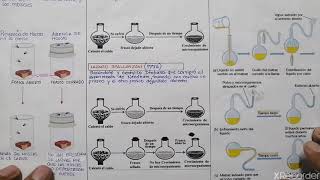 Teoría de la biogenesis [upl. by Nodroj]