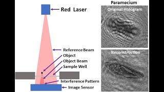 Holographic Microscope Assembly [upl. by Aihsikal]