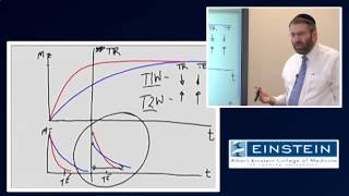 Introducing MRI NMR Contrast 12 of 56 [upl. by Laforge]