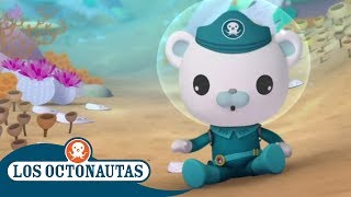 Los Octonautas Oficial en Español  Capitán Barnacles se Sorprendió  Compilación [upl. by Lara]