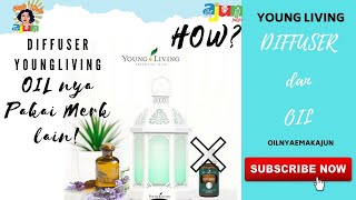 DIFFUSER YOUNG LIVING tapi OIL PAKAI MERK LAINHOW [upl. by Tatianna]