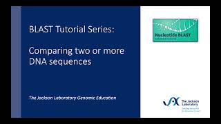 BLAST Tutorial Series Comparing two or more DNA sequences [upl. by Hctud720]