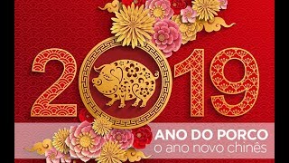 Horóscopo chinês veja previsões para o ano do Porco [upl. by Asamot]