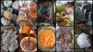 Documental ORIGEN DE LA GASTRONOMÍA MEXICANA [upl. by Enerak]