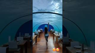 Soneva Fushi  travel maldives wonderful amazing adventure foryou viral [upl. by Asilanom]