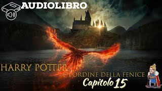 Audiolibro  Harry Potter e lordine della fenice  Lettura e Commento Cap 15 [upl. by Claudie501]