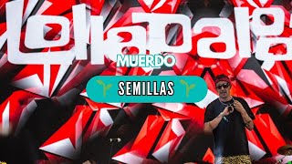 MUERDO  Semillas 🌱🌍🔥 Concierto en Lollapalooza Chile 2024 🎵🦎 [upl. by Camel]