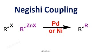 Negishi Coupling [upl. by Derby]