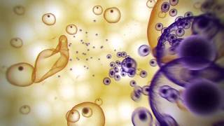 Malaria Lifecycle Animation [upl. by Enimasaj435]