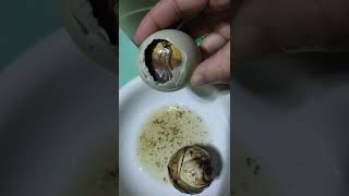 BALUT PENOY MUKBANG ONLY IN THE PHILIPPINES short mukbang balut [upl. by Eric]