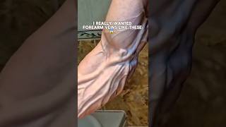 Forearm Veins with Hand Gripper💪🏼 veins forearmtraining handexercise [upl. by Phonsa]