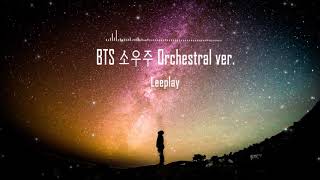 BTS 방탄소년단 소우주Mikrokosmos Orchestral cover [upl. by Rinum]