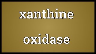 Xanthine oxidase Meaning [upl. by Ixel]