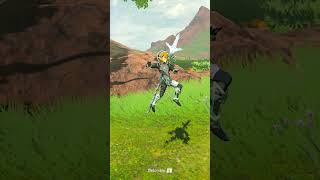 Unarmed Link 101  Breath of the Wild Glitches [upl. by Noraha]