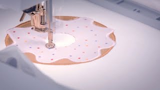 How to create Appliqué in BERNINA Embroidery Software 9 [upl. by Bolling]