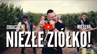 MR SEBII  NIEZŁE ZIÓŁKO  ZIOŁO Official Video Nowość Disco Polo [upl. by Hutchison]