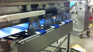 Unitech Engineering  Pasty Lane Multiplying Conveyor [upl. by Louisa]