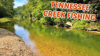 Smallmouth Bass CREEK Fishing TENNESSEE Compilation [upl. by Shay]