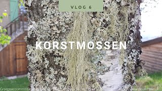 Natuur weetjes voor kinderen Vlog 6 Korstmossen [upl. by Acinor]