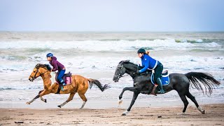 VOLLE RENGALOP OVER HET STRAND ZO KOUD  felinehoi VLOGMAS 236 [upl. by Krusche]