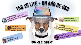 Un año con la Samsung Tab S6 Lite Respondiendo tus preguntas y comentarios [upl. by Arocet154]