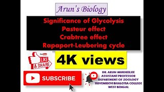 Significance of Glycolysis Pasteur effect Crabtree effect and RapaportLeubering cycle [upl. by Zita]