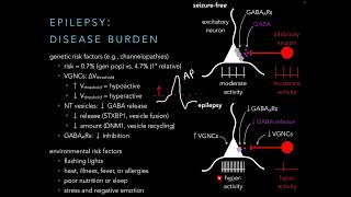 PT 536  Hyperexcitability Disorders [upl. by Kaine]