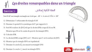 Droites remarquables dans un triangle [upl. by Skill702]