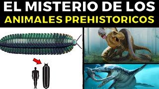 25 Animales Prehistóricos Ya Extintos Que Siguen Sorprendiendo A Los Científicos [upl. by Lash]