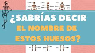 ¿Puedes adivinar los HUESOS del CUERPO HUMANO 🦴🤔 ¡Pon a prueba tu conocimiento de ANATOMÍAAPRENDE [upl. by Stanislaw]