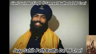 Giani Surinder Singh Ji Samraat Budha Dal 96 Crori  Jaap Sahib Path Budha Dal 96 Crori Video [upl. by Harl322]