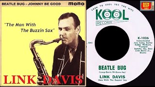 LINK DAVIS  Beatle Bug Johnny Be Good [upl. by Rehsa]