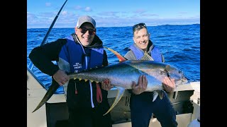 Yellowfin Tuna YFT smashing bait ball catch and release [upl. by Edie801]