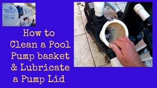 How to Clean a Pool Pump Basket and Lubricate a Pump Lid [upl. by Eihcra]