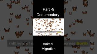 Animal Migration Wonders The Ultimate Survival Quest [upl. by Ileek]