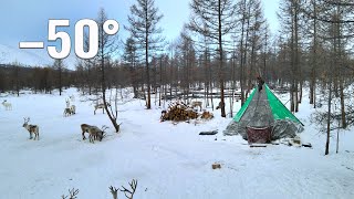 Life of Mongolia Nomads near the borders of Russia Tsaatan life in Mongolia in winter [upl. by Forland]