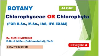 Chlorophyta or Chlorophyceae  Comparsion FE Fritsch and GM Smith Classification [upl. by Ayiotal393]