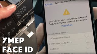 Не работает Face ID стандарная проблема  ПЛОХАЯ ВЛАГОЗАЩИТА В iPhone X [upl. by Xad986]