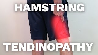 3 Top Exercises to Conquer Hamstring Tendinopathy [upl. by Frisse]