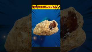 Why Whale vomit is so Expensive  Ambergris  Sperm whale vomit shorts facts [upl. by Britte]