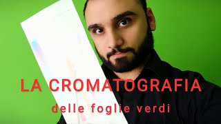 CROMATOGRAFIA  Come trattiamo le foglie [upl. by Arihsaj572]