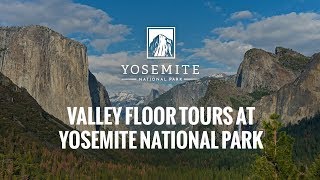 Valley Floor Tours at Yosemite National Park  TravelYosemitecom [upl. by Acimad576]