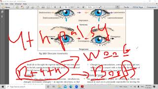 second lecture in strabismus [upl. by Malda]